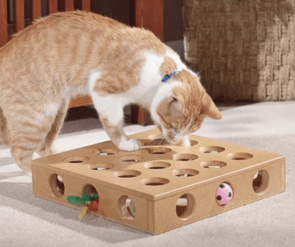 Развивающие игры для животных